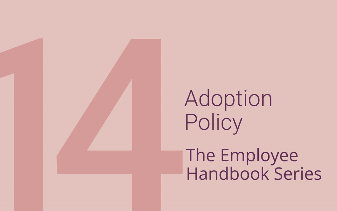 Introduction to Adoption Policy